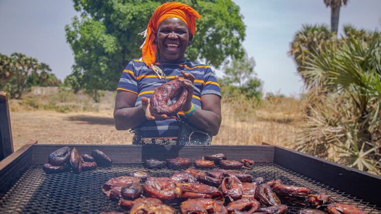 Los hornos para ahumar pescado ayudan a los elaboradores desplazados en el Camerún a empezar de nuevo