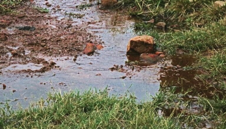 El Niño y sus cambios de clima aumentan enfermedades en América Latina