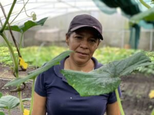 Costa Rica lidera producción de hortalizas en el Corredor Seco Centroamericano