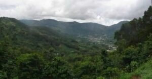 Sinac alerta sobre venta ilegal de terrenos en Reserva Forestal Los Santos 