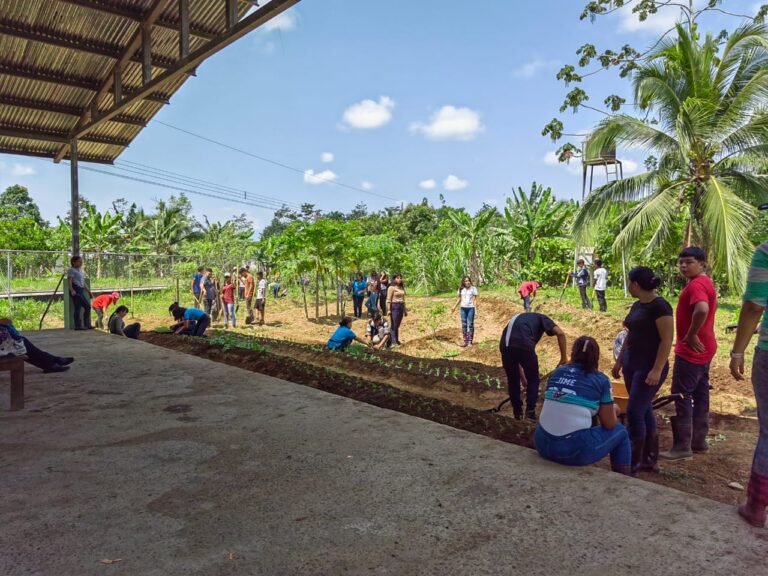 300 mujeres rurales reciben capital semilla para financiar proyectos productivos