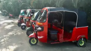 Rosalía Brown presenta proyecto para legalizar y regular el servicio de los Tuk tuk