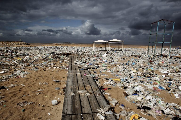 Alemania quiere liderar lucha contra los desechos plásticos en el mar