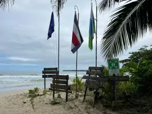 Canatur manifestó su preocupación por falta de acción de presidente del Banco Central ante apreciación del colón