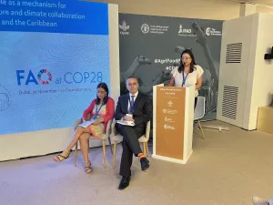 FAO en COP28: La transformación de los sistemas agroalimentarios es clave para la acción climática