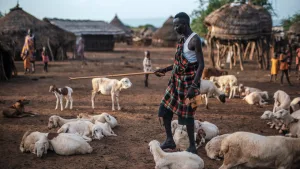 Las bombas de agua alimentadas por energía solar apoyan los medios de vida de los pastores en tiempos de crisis climática