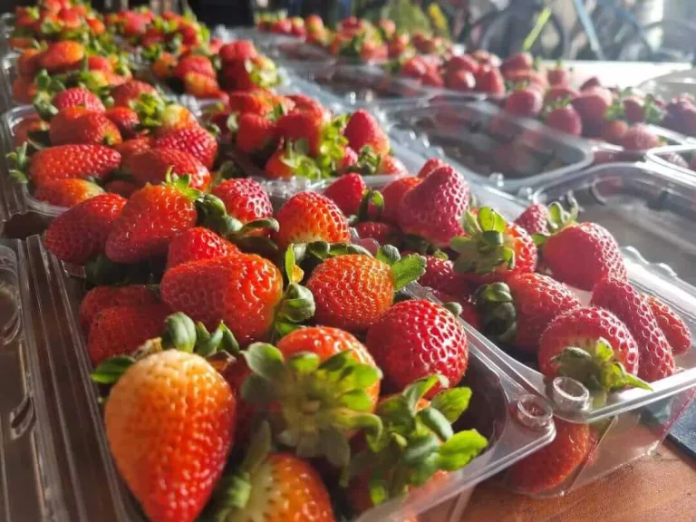 UNAPROPYMES ofrece fresas, hortalizas, mermeladas y vinagretas en línea