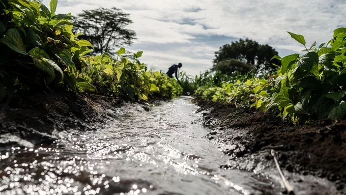 El agua segura ahorra agua