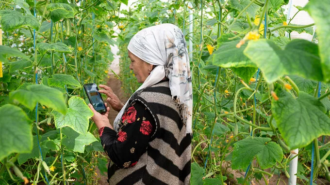 Una aldea uzbeka se digitaliza