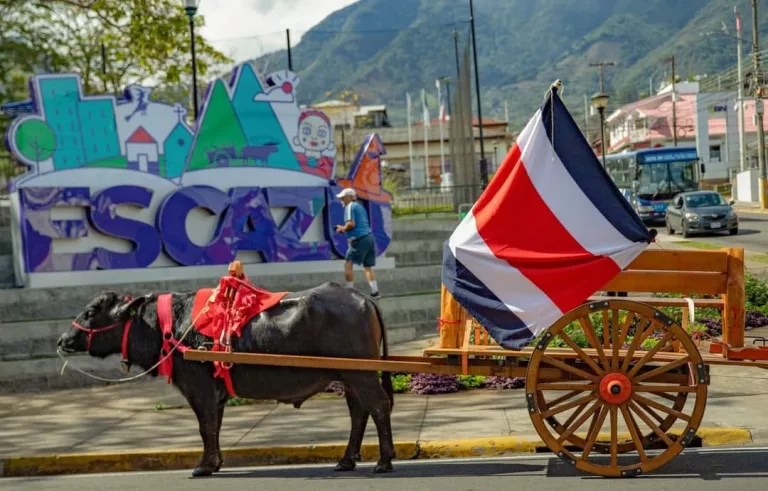 Elecciones Municipales 2024: Estos son los candidatos a alcalde para la Municipalidad de Escazú