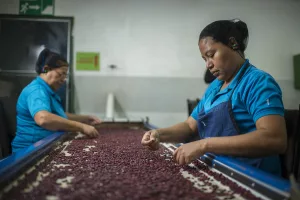 Importadores toman medidas para que frijoles, arroz y otros granos no falten en la mesa de los costarricenses