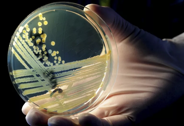 Nuevo paso contra las ‘superbacterias’: crean una molécula sintética eficiente en ratones