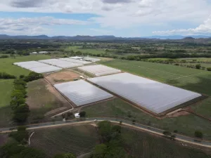 Planta de Bayer en Costa Rica operará en 2025 con inversión de 200 millones de dólares