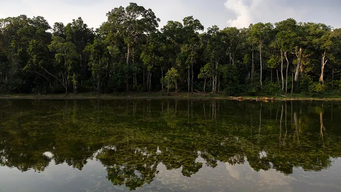 ¿Pueden los juegos en la cuenca del río Congo mejorar la conservación de la fauna silvestre?