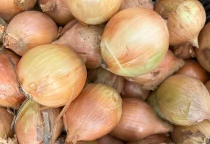 Productores invitan a asistir a la Feria de la papa y cebolla en Tierra Blanca