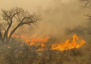 Suben a dos los muertos por los incendios en Texas que han arrasado unas 527.000 hectáreas