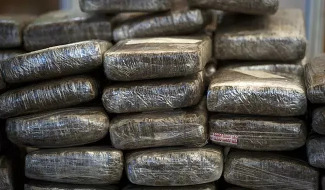 Requisados 419 kilos de cocaína en España ocultos en café procedente de Costa Rica