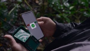 Investigación del Sinac y Huawei logra prometedores hallazgos para conservación de lapa verde