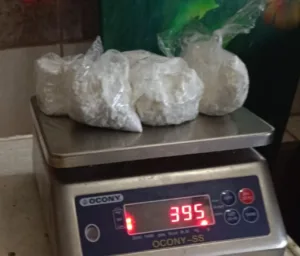 PCD detiene a integrantes de banda narco y decomisa gran cantidad de droga