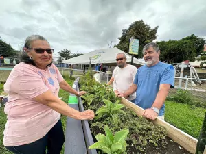 Costa Rica cuenta con 30 ciudades y comunidades amigables con las personas mayores, señala la OPS