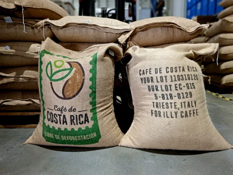 Costa Rica realiza la primera exportación de café libre de deforestación