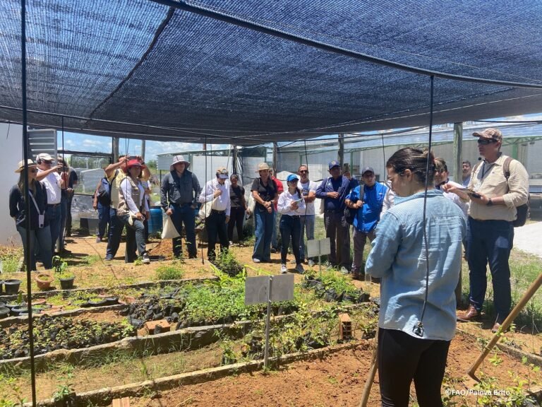 Brasil, República Dominicana y países de Centroamérica intercambiaron técnicas y buenas prácticas para superar los retos que enfrentan con la escasez del agua en la agricultura