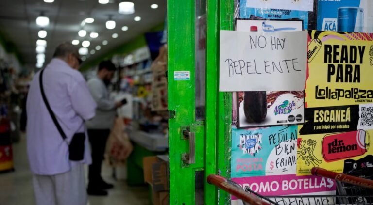 OPS alerta ante aumento de casos de dengue en la región: ¿Cuál es la situación?