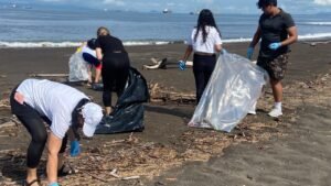 80 voluntarios sembraron 50 árboles y sacaron basura en Playa Caldera