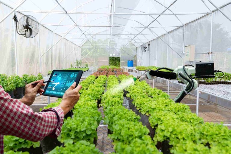 Agricultores alemanes avanzan en uso de inteligencia artificial