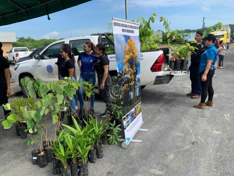 Estudiantes de Sarapiquí y Alemania se unen para reforestar la quebrada La Gata