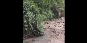 Costa Rica recibe ayuda de emergencia de la OEA tras desastres naturales