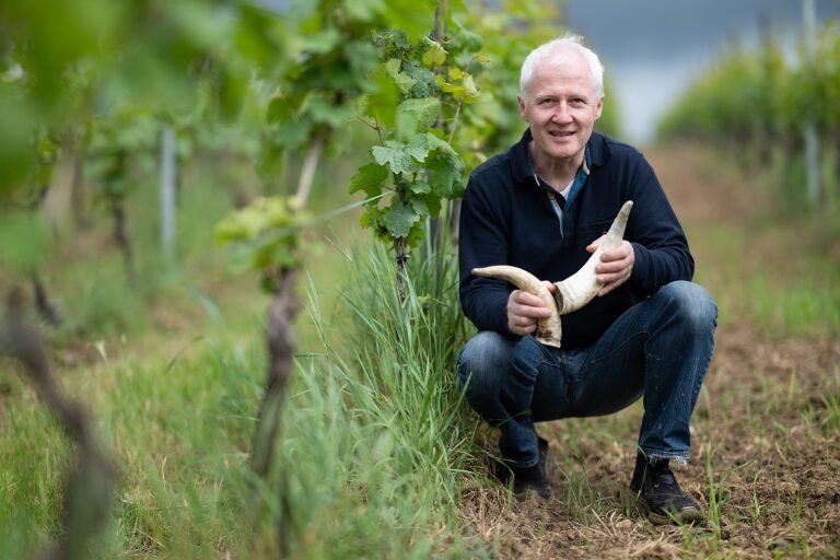 Nicho que crece: la vitivinicultura biodinámica alemana cumple 100 años