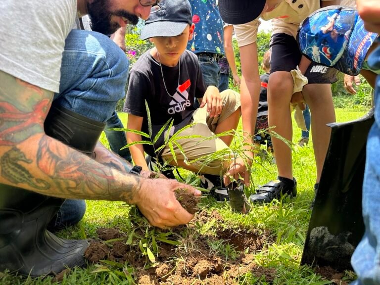 Siembratón busca plantar 2 millones y medio de árboles en todo el país