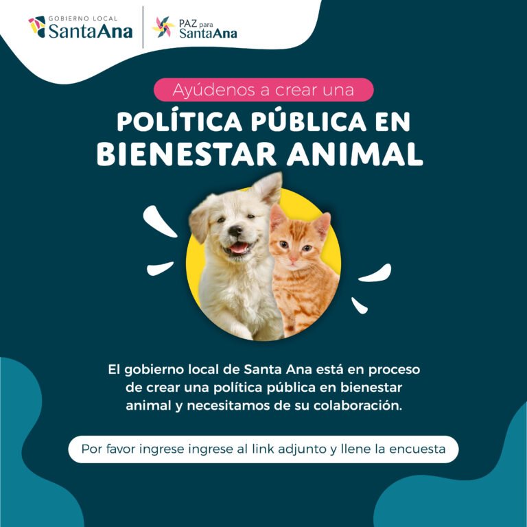 Municipalidad de Santa Ana construirá política pública en bienestar animal