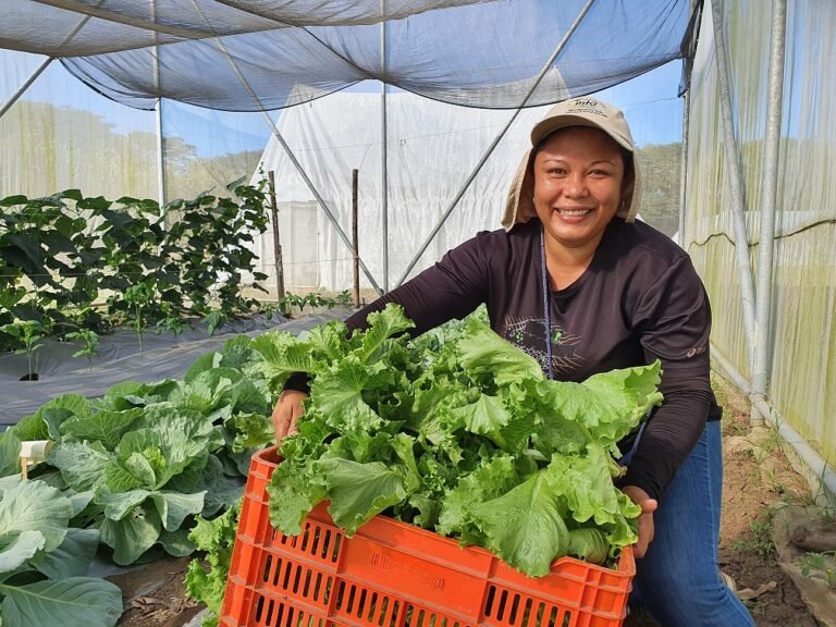 Productores reciben reconocimiento por ser pioneros en producción hortícola sostenible en Región Chorotega