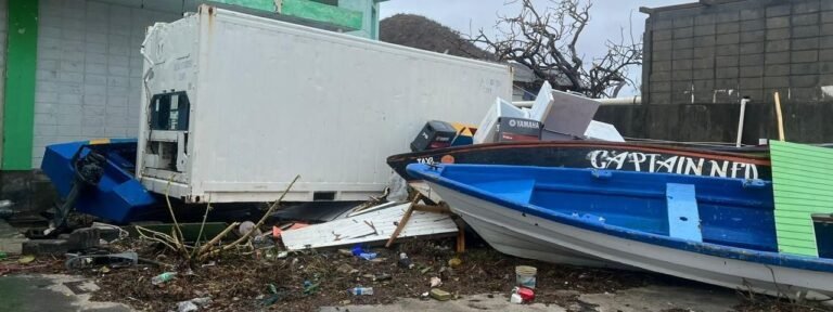 FAO apoya a los gobiernos del Caribe tras el impacto del Huracán Beryl