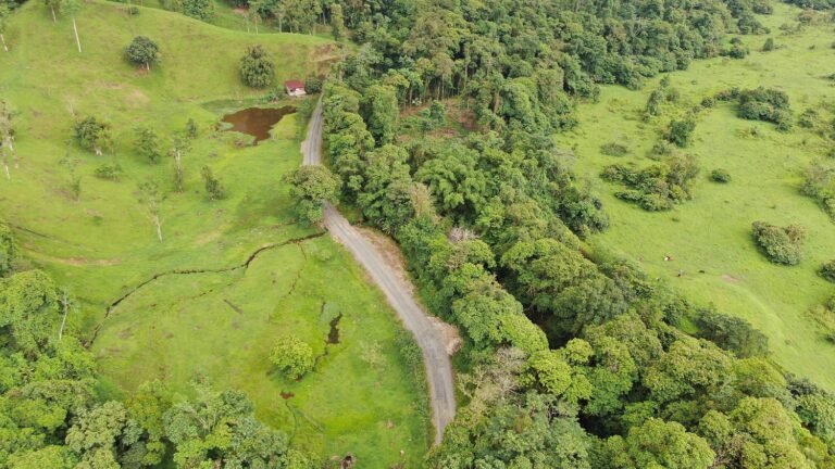 Vecinos de Cubujuquí en Horquetas cuentan con camino mejorado para sus actividades productivas