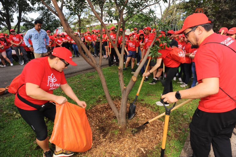 150 árboles intervenidos en La Sabana durante la II jornada de voluntariado de Scotiabank