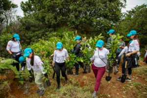Más de 600 nuevos árboles protegerán ríos  gracias a voluntarios del Sistema Coca-Cola