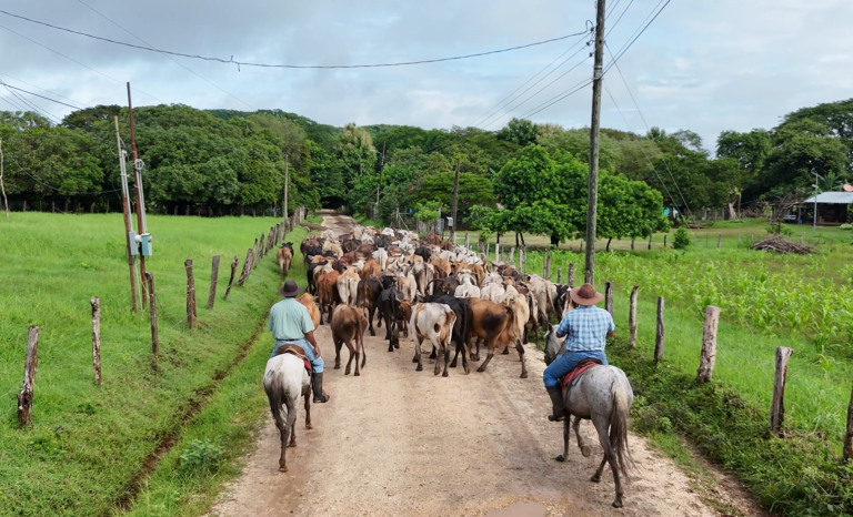 Pequeños ganaderos de El Rosario de Nicoya reciben finca para fortalecer la actividad productiva