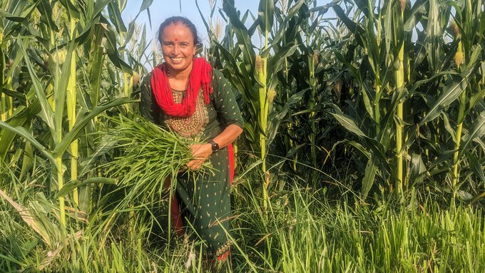 Las mujeres dominan la agricultura resiliente al clima para obtener mayores y mejores rendimientos en Nepal