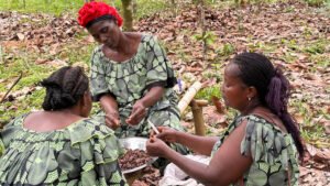 El sector del cacao de Côte d’Ivoire se prepara para la resiliencia climática