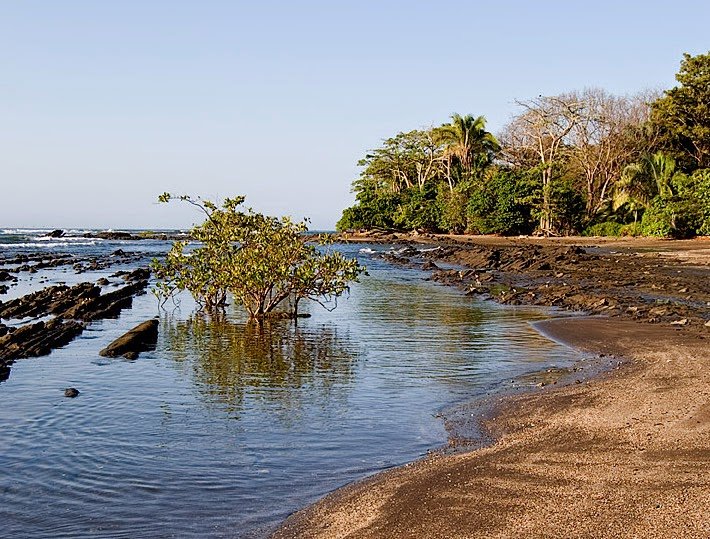 Juzgado ordena demoler construcciones y respetar humedales en laguna de Pochotal en Playa Hermosa