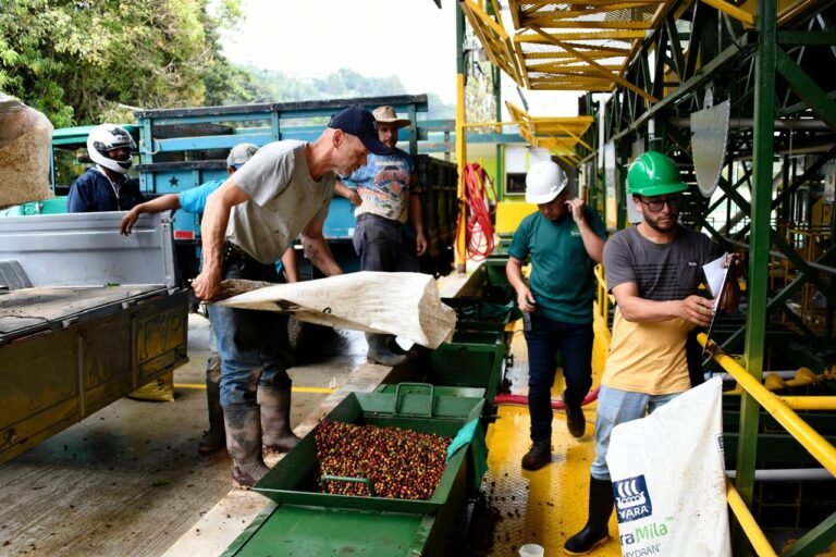 La UCR crea un sistema que reutiliza los residuos del café y los transforma en energía