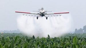 Alianza para Sostenibilidad Agrícola se opone a proyecto de Ley que amenaza producción bananera