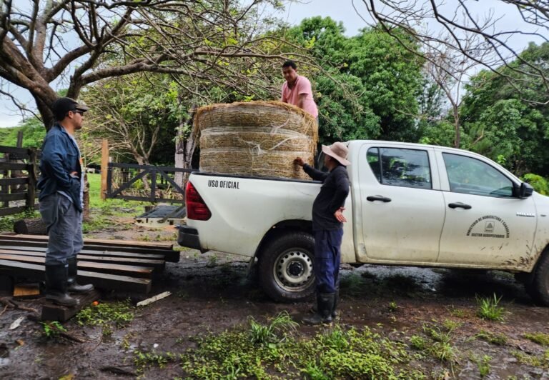 MAG habilita línea telefónica para productores agropecuarios afectados por condiciones climáticas recientes