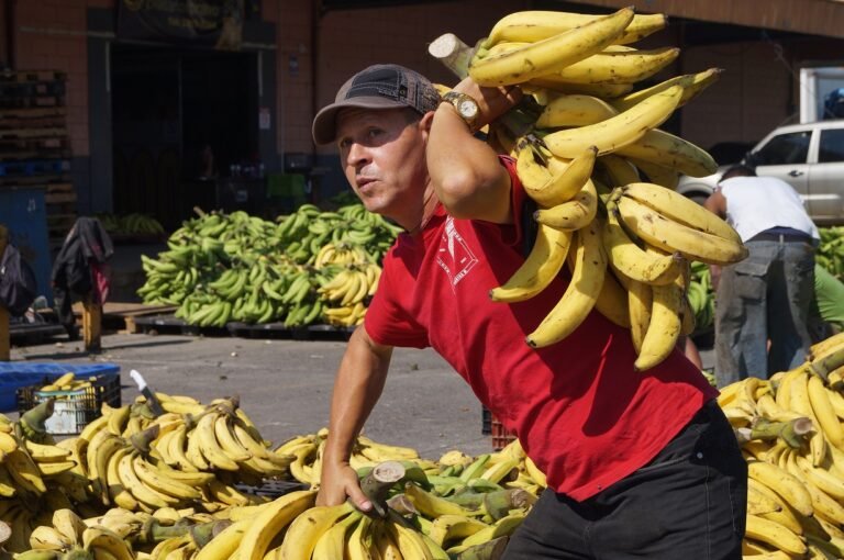 BCIE aprueba cooperación para modernizar el comercio agropecuario costarricense con plataforma digital de subastas