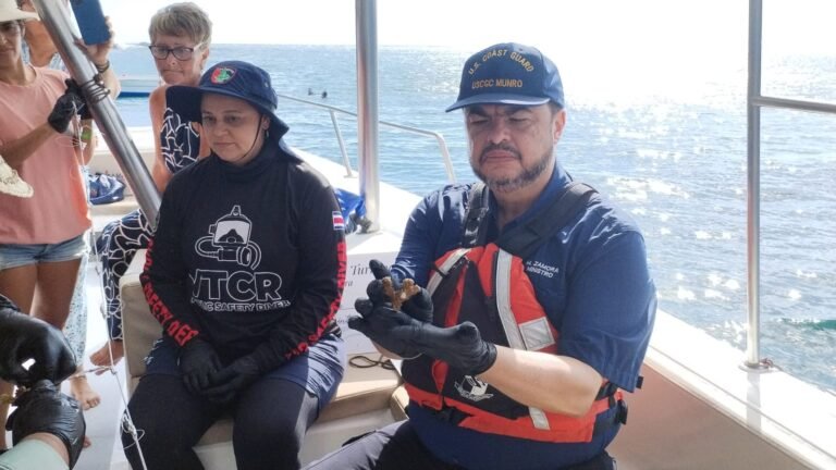 Sembraron el coral número dos mil en Playa Samara