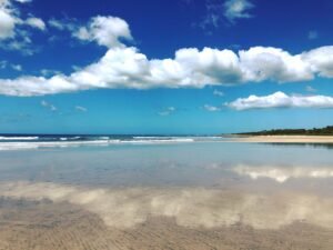 Forman Cámara de Turismo en Playa Avellanas de Santa Cruz