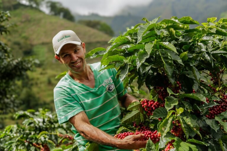 Cooperativas agroindustriales generan alto retorno por cada colón exonerado